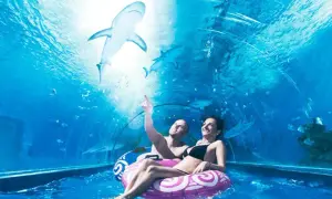 Oceanarium Jastrzębia Góra: Rekiny, ceny, godziny czy warto?