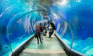Afrykarium czy Oceanarium? Rozwiewamy wątpliwości raz na zawsze
