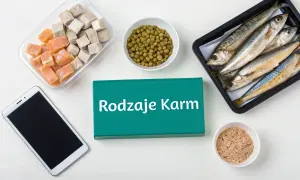 Mrożone kostki, groszek, ryby i granulat – to wszystko może być odpowiedzią na pytanie, czym karmić ryby w stawie.