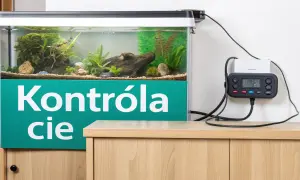 Elektroniczny kontroler monitoruje jaka temperatura w akwarium, zapewniając optymalne warunki dla ryb i roślin.