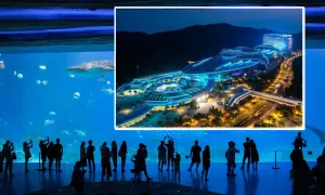 Największe oceanarium świata: Chimelong i podwodni giganci