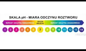 Jak obniżyć KH w akwarium? Bezpieczne metody i unikanie błędów