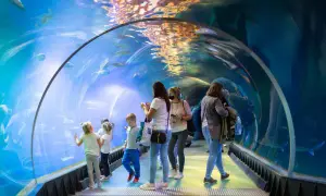 Bon Turystyczny Afrykarium Wrocław? Nie! Ale jak zaoszczędzić na biletach?