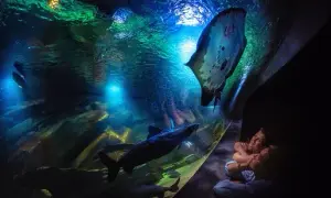 Oceanarium Międzyzdroje: Czy warto? Ceny, opinie, praktyczne porady