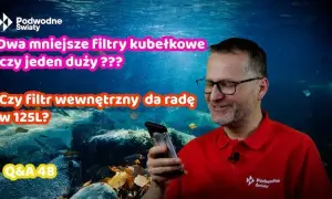 Dwa filtry w akwarium: klucz do stabilności i krystalicznej wody?