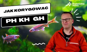 Jak podnieść pH w akwarium? Stabilne KH to klucz!