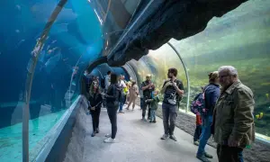 Oceanarium w Łodzi: Orientarium ZOO Planuj wizytę! Ceny i rekiny