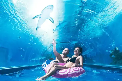 Oceanarium Jastrzębia Góra: Rekiny, ceny, godziny czy warto?