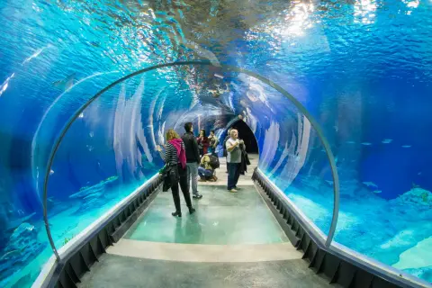 Afrykarium czy Oceanarium? Rozwiewamy wątpliwości raz na zawsze