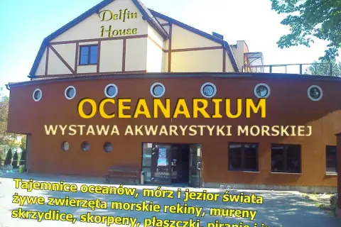 Oceanarium w Łebie: Ceny, atrakcje i czy warto je odwiedzić?