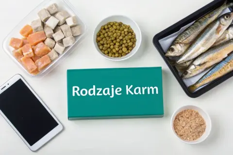 Mrożone kostki, groszek, ryby i granulat – to wszystko może być odpowiedzią na pytanie, czym karmić ryby w stawie.