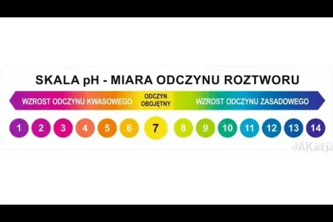 Jak obniżyć KH w akwarium? Bezpieczne metody i unikanie błędów