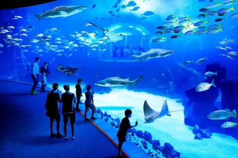 Poema del Mar Gran Canaria: Ceny, dojazd, atrakcje Czy warto?