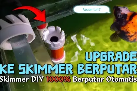 Jak zbudować skimmer do akwarium? Poradnik DIY i oszczędność!