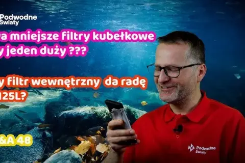 Dwa filtry w akwarium: klucz do stabilności i krystalicznej wody?