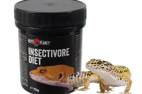 Gekon lamparci obok pojemnika z karmą "Insectivore Diet". To idealny pokarm dla każdego, kto chce wiedzieć, co je gekon.