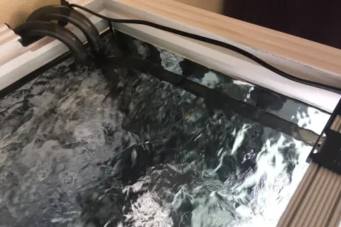 Wlot i wylot filtra w akwarium: czarne rury wychodzące z akwarium, tworzące falowanie wody.