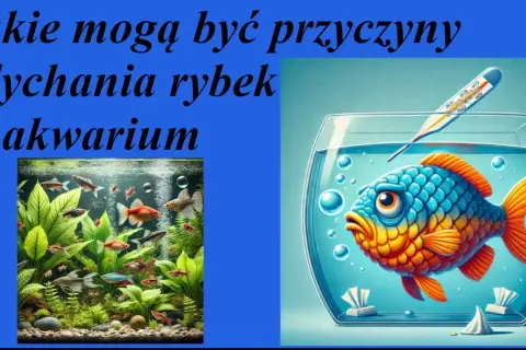 Dlaczego rybki zdychają? Szybka diagnoza i ratunek dla akwarium