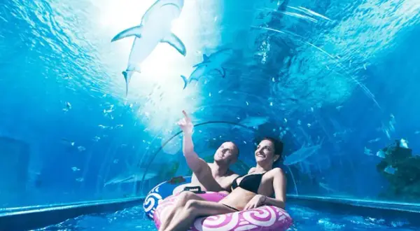 Oceanarium Jastrzębia Góra: Rekiny, ceny, godziny czy warto?