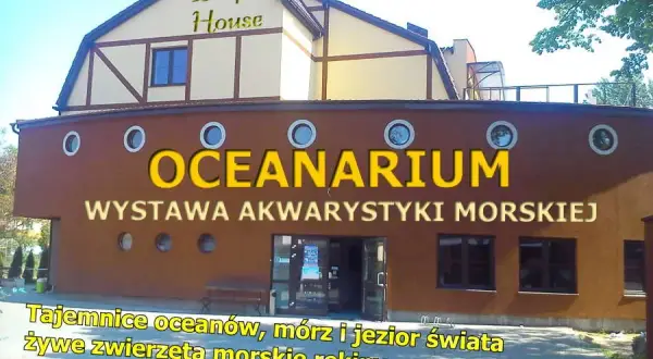 Oceanarium w Łebie: Ceny, atrakcje i czy warto je odwiedzić?