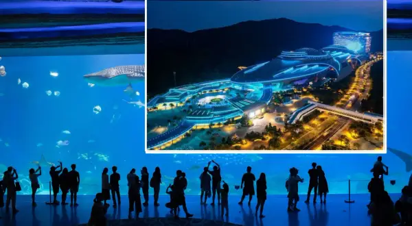 Największe oceanarium świata: Chimelong i podwodni giganci