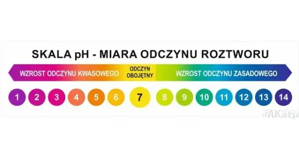 Jak obniżyć KH w akwarium? Bezpieczne metody i unikanie błędów