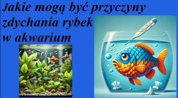 Dlaczego rybki zdychają? Szybka diagnoza i ratunek dla akwarium