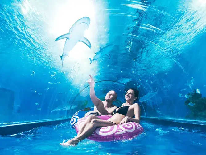 Oceanarium Jastrzębia Góra: Rekiny, ceny, godziny czy warto?