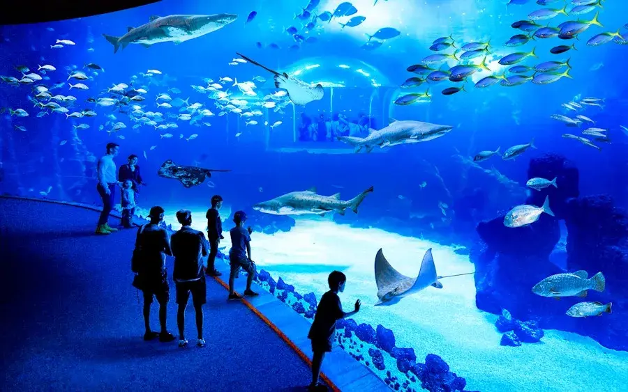 Poema del Mar Gran Canaria: Ceny, dojazd, atrakcje Czy warto?