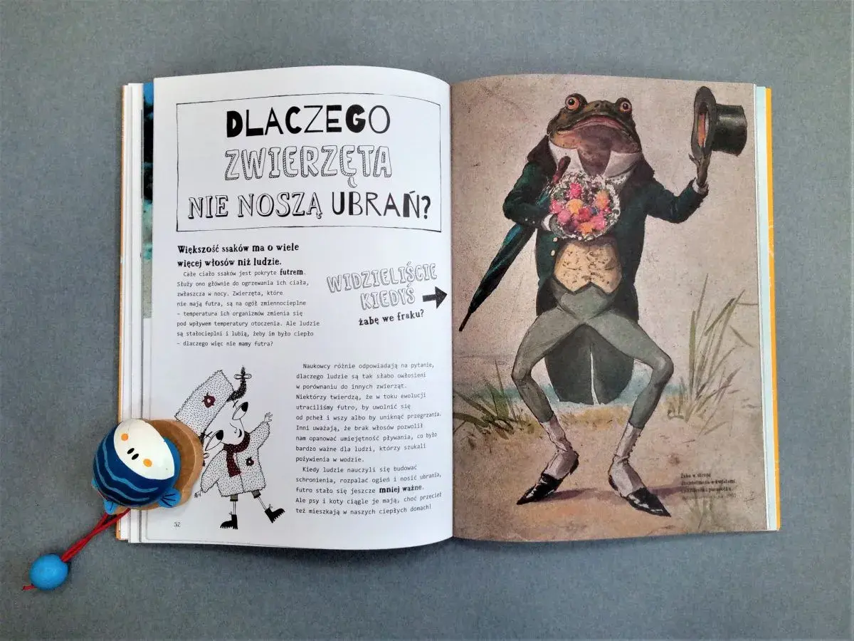 Ilustracja z książki o ichtiologii: żaba we fraku z bukietem kwiatów i kapeluszem. Obok tekst o futrze zwierząt.