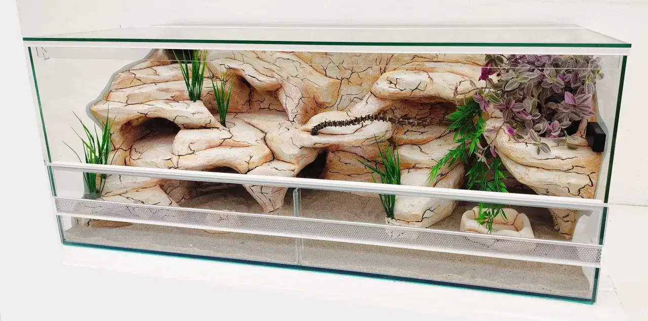 Szklane terrarium z piaskiem, sztuczną skałą i roślinnością, idealne dla węży hodowlanych.