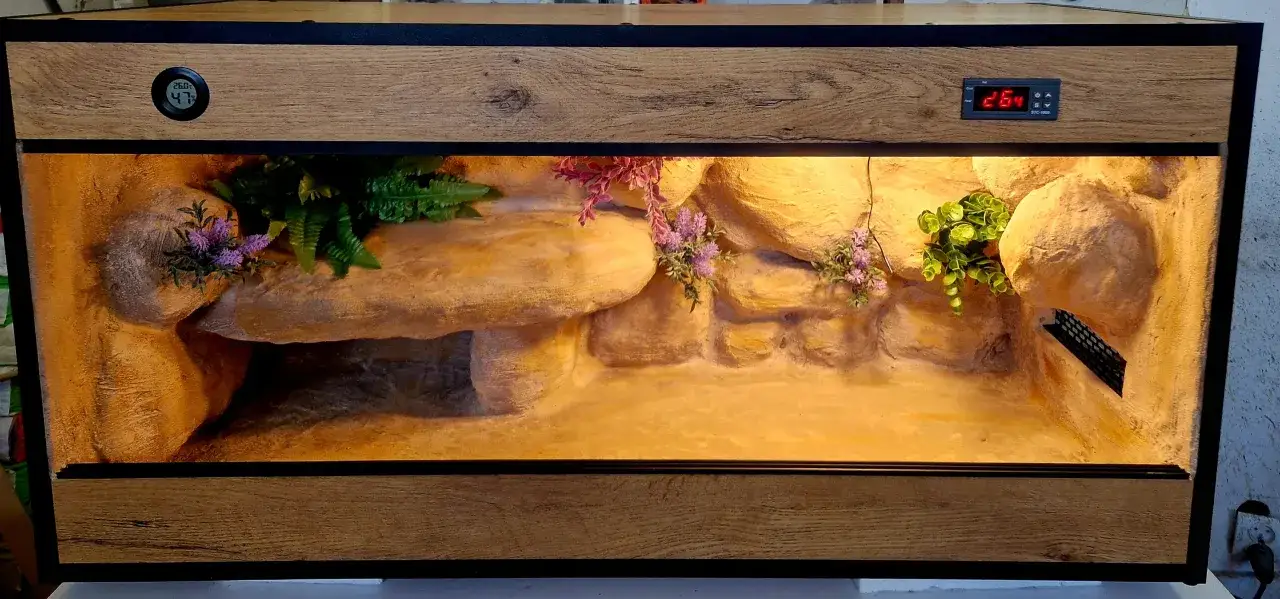 terrarium dla żółwia lądowego
