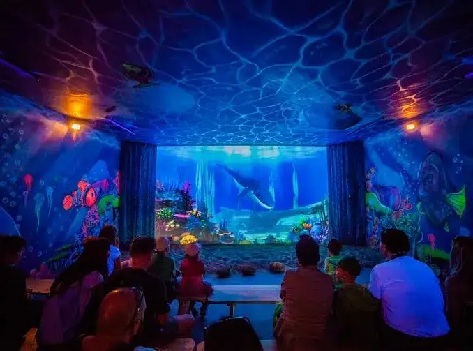 Oceanarium Jastrzębia Góra wnętrze ryby egzotyczne