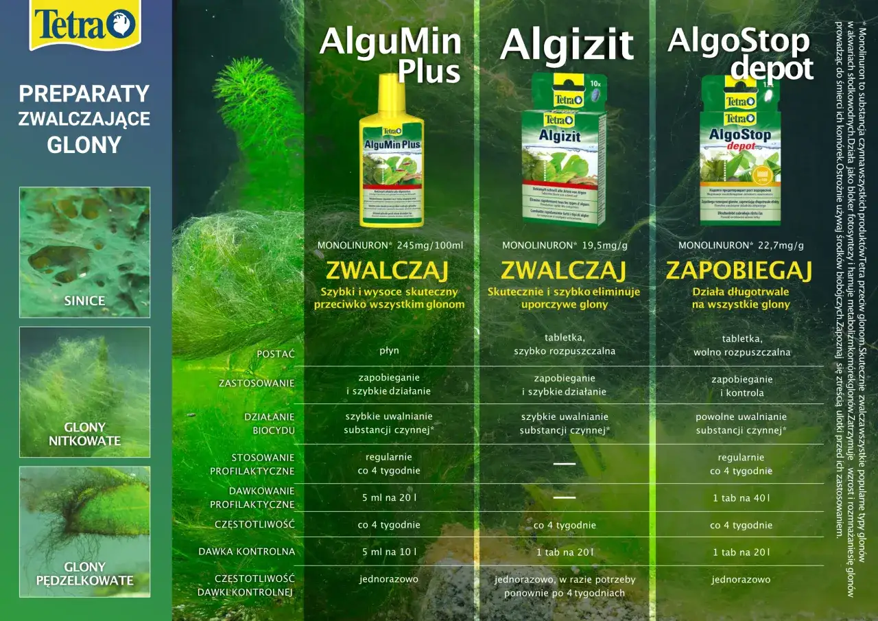 rodzaje glonów w akwarium identyfikacja