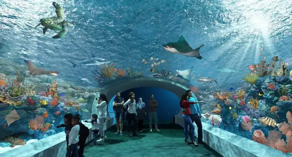 Oceanarium Ustka szklany tunel