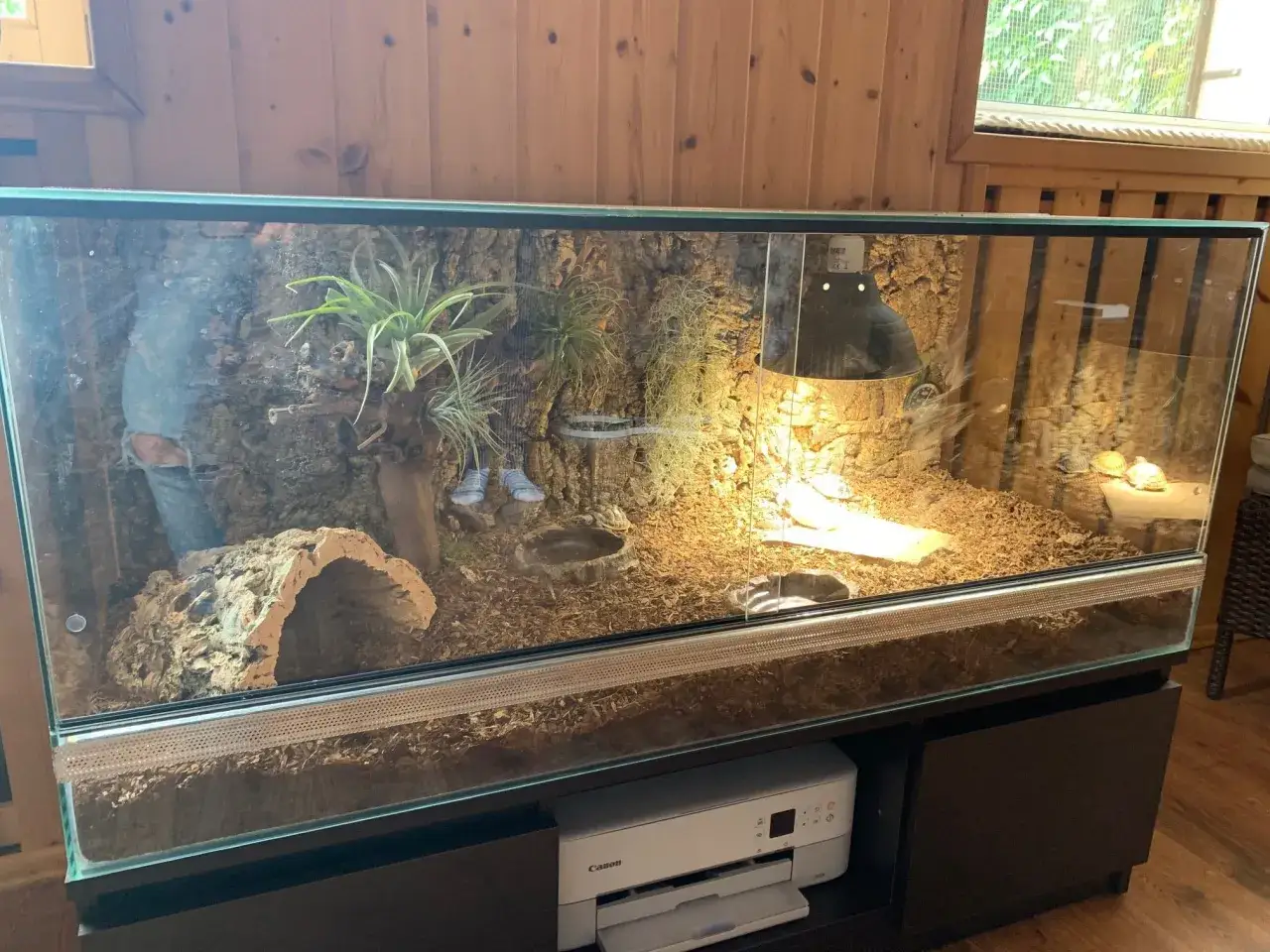 terrarium dla żółwia lądowego