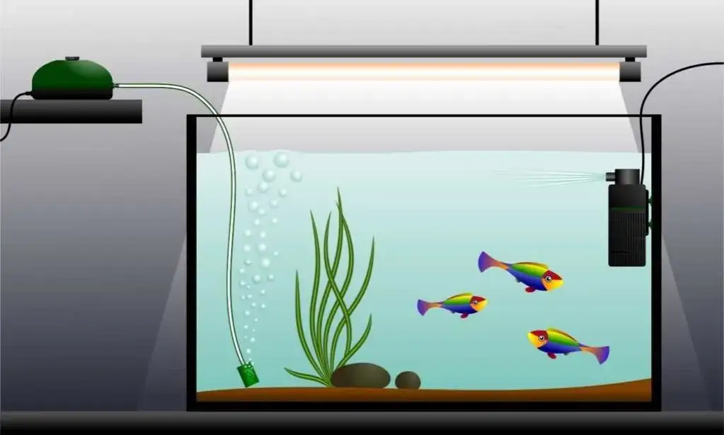 Rodzaje filtrów DIY akwarium