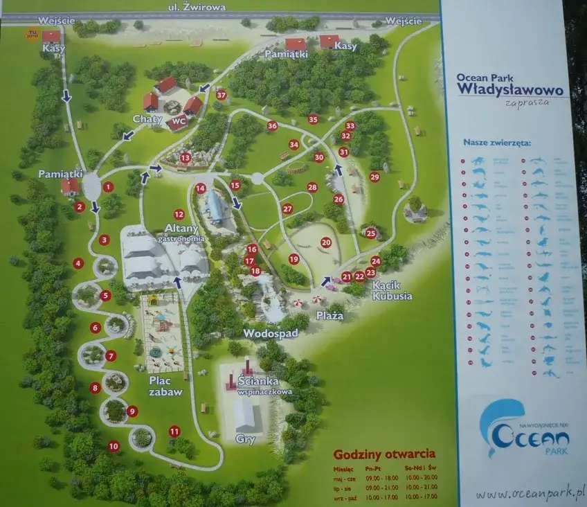 Oceanarium Jastrzębia Góra lokalizacja mapa dojazd