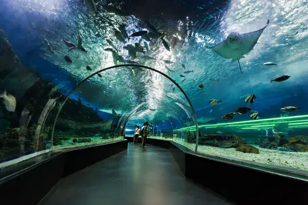 Orientarium Łódź tunel podwodny rekiny