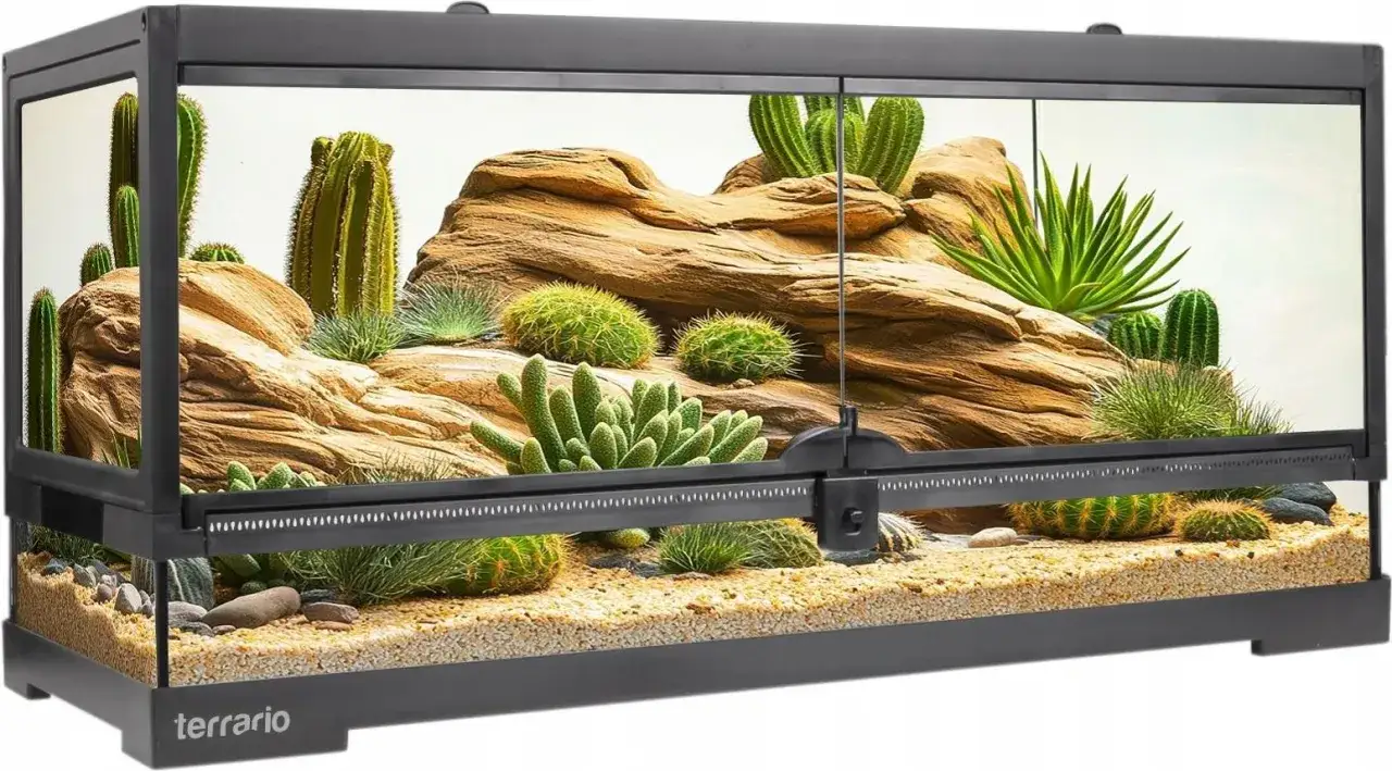 Pustynne terrarium z kaktusami i kamieniami, idealne dla jaszczurki domowej.