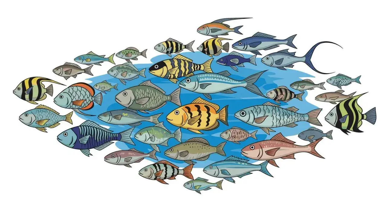 Kolorowy ławica ryb, ilustracja do podręcznika ichtiologia. Różnorodne gatunki ryb płyną w wodzie.