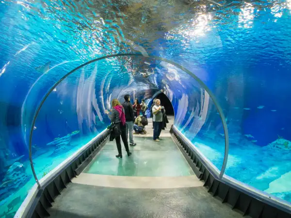 Afrykarium czy Oceanarium? Rozwiewamy wątpliwości raz na zawsze