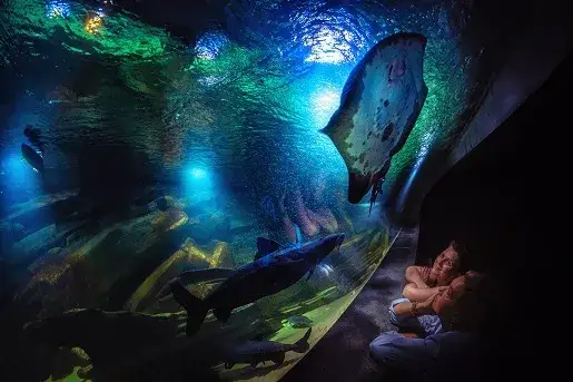 Oceanarium Międzyzdroje: Czy warto? Ceny, opinie, praktyczne porady