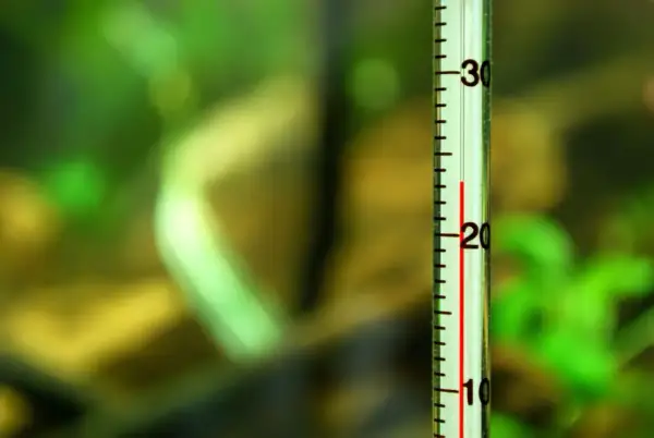 Termometr w akwarium pokazuje temperaturę wody. Czerwona linia wskazuje około 22 stopni Celsjusza.